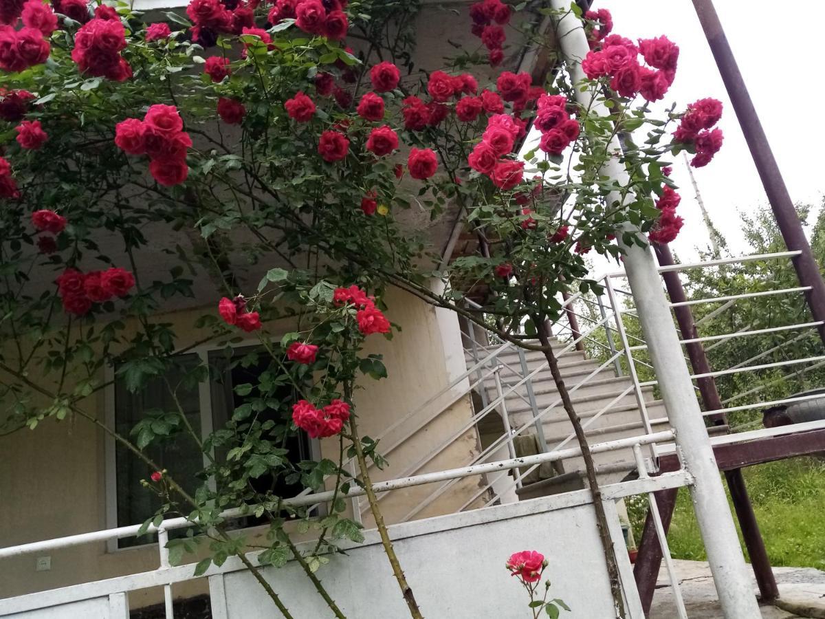 מלון Kvesheti Mti House מראה חיצוני תמונה